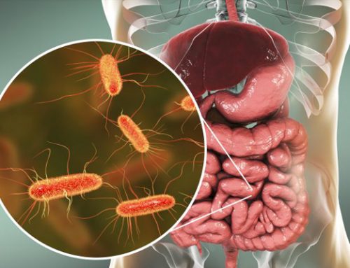 You’re never alone: Meet your microbiome